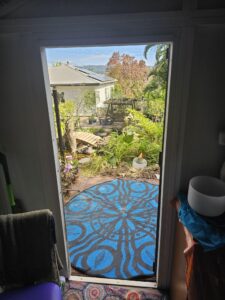 view from the table overlooking the pond